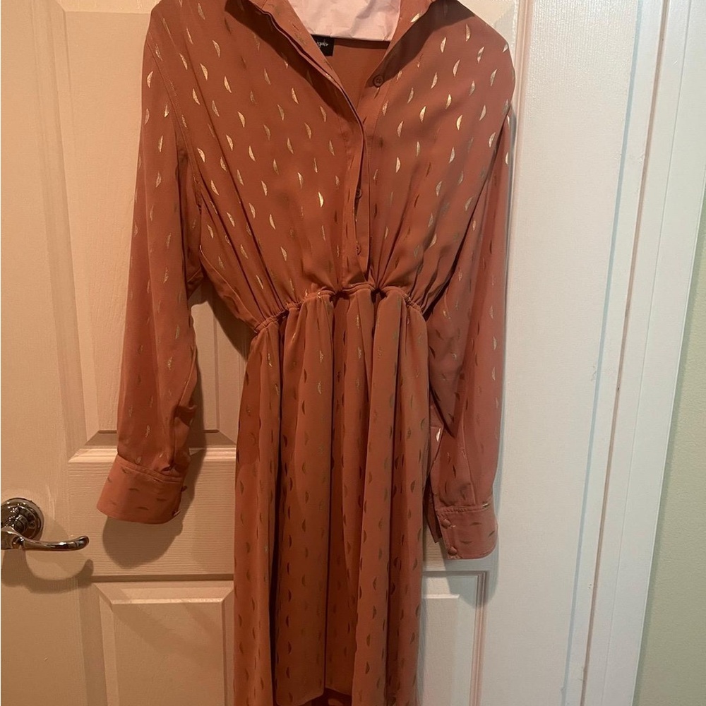 Chic Long Sleeve Rust Dress with Gold Details
